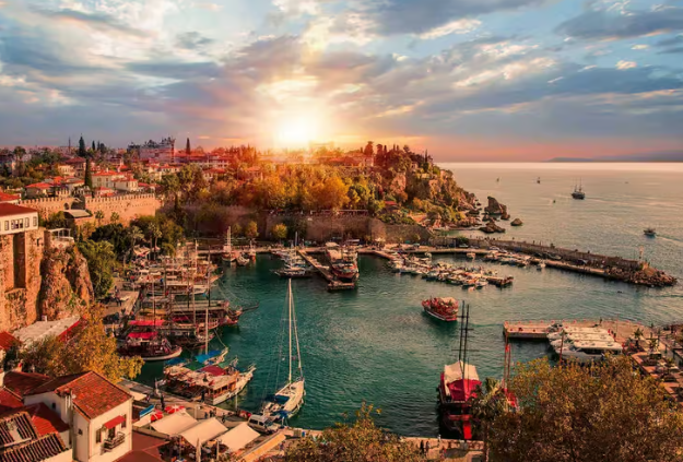 Screenshot 2026-02-09 142634