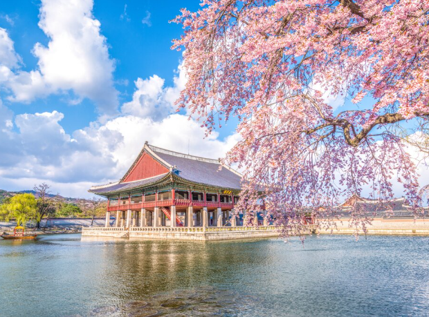 Screenshot 2026-02-09 143043